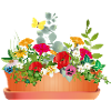 Bunte Blumenpracht im Blumenkasten