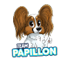 TEAM Papillon - Fauve