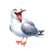 Mouette enfant Seagulls Maritime