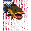 When does the catfish bite