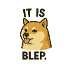 Dog with tongue out