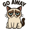 Chat de mauvaise humeur