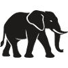Elefant - Großwild, Stoßzahn, Elfenbein