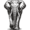 Elefant - Großwild, Stoßzahn, Elfenbein