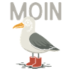 Moin Seagull avec Monocle