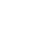 Parakeet Floral Pattern