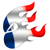 Flag of France - France - Ninja