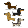 Dachshunds