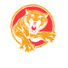 Sabre-toothed tiger Prehistoric