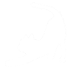 Outlines gestreckte katze