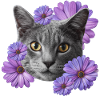 katze mit blumen