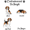 Beagle Morsom Humor Beagle Tispe Beagle Hann