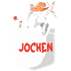Raccoon Jochen