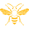 wasp