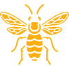 wasp