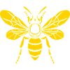 wasp