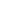 Limited Edition 1961