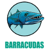 Barracudas Barracuda