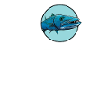 Barracudas Barracuda