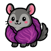 Chinchi cabbage