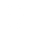Little White Dog