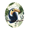 Toucan sur branche d’arbre