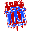 Bayern Football Fans