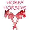 HOBBY HORSING HORSES