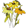 Blumen