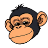 Monkey Chimpanzee