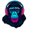 Monkey as DJ