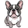 Bouledogue français