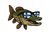 Finlande Pêche au brochet