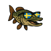 Suède Pêche au brochet