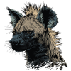 Punk Rock Hyène
