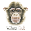 Chimpanzee Face Art – 99% Human 1% Wild Shirt