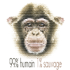 Chimpanzee Face – 99% Human 1% Wild