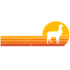 Sunrise retro alpaca