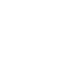 Professional Brownie Taster Brownie