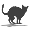 buckelige KatzenSilhouette mit Details