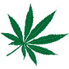 Green weed leaf – Coffeeshop logo inspiration