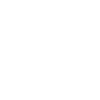 Vol de la liberté