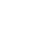 Lifeguard Icon