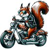 Motorcycle Cucumber Adventure Freedom