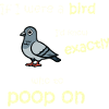 Bird mode - Activated
