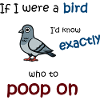 Mode oiseau activé