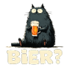Funny cat with beer