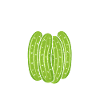 Cucumber Cucumber Pickle