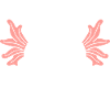 axolotl
