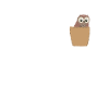 Owl in breast pocket